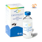 Caninsulin 10ml